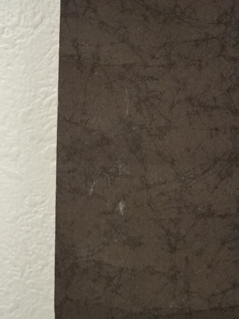 道具 ] - 道具 大徳寺 尾関桃林筆 「茶是長寿友」一行書 肉筆紙本掛軸